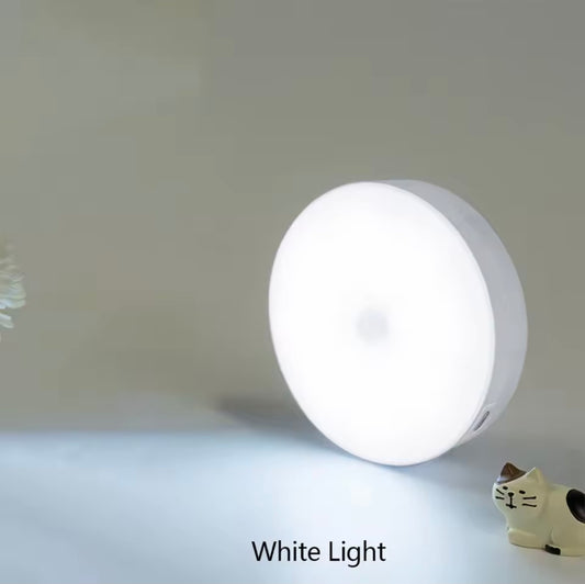 LED Motion Sensor Light