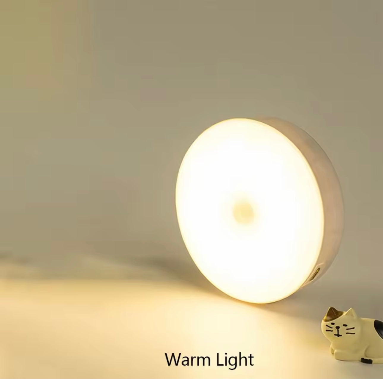 LED Motion Sensor Light