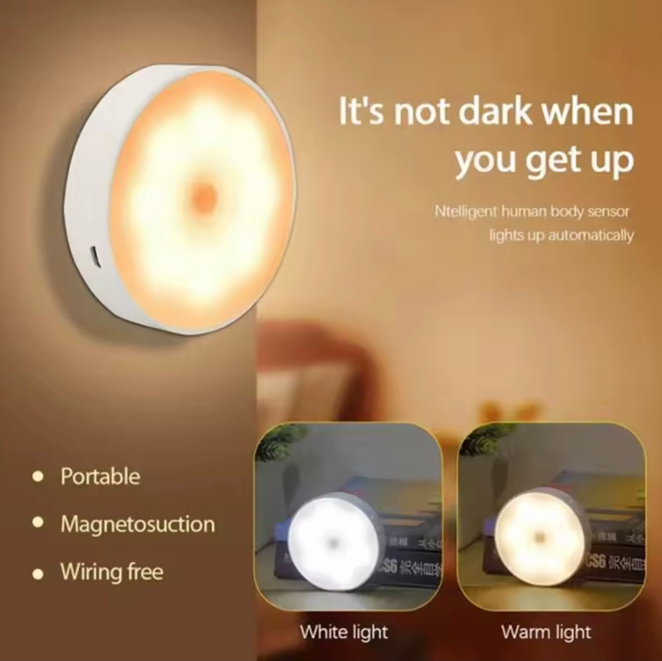 LED Motion Sensor Light