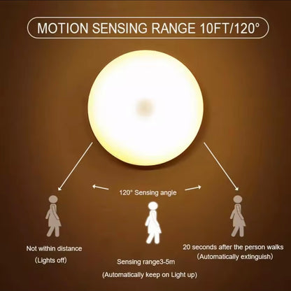 LED Motion Sensor Light