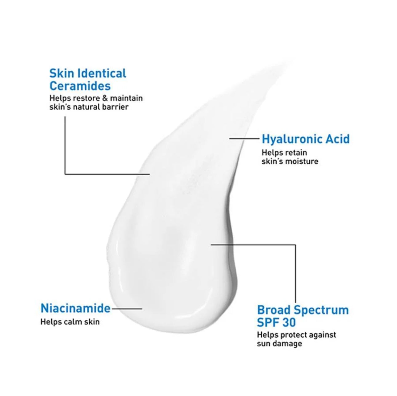 AM Facial Moisturizing Lotion SPF 30