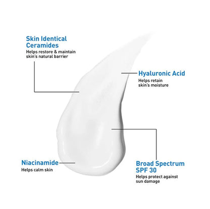 AM Facial Moisturizing Lotion SPF 30