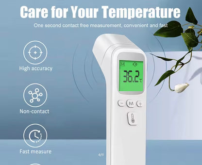 Thermometer Digital