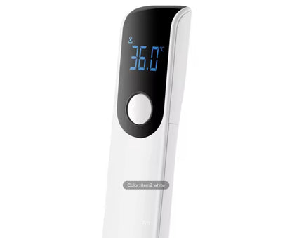 Thermometer Digital